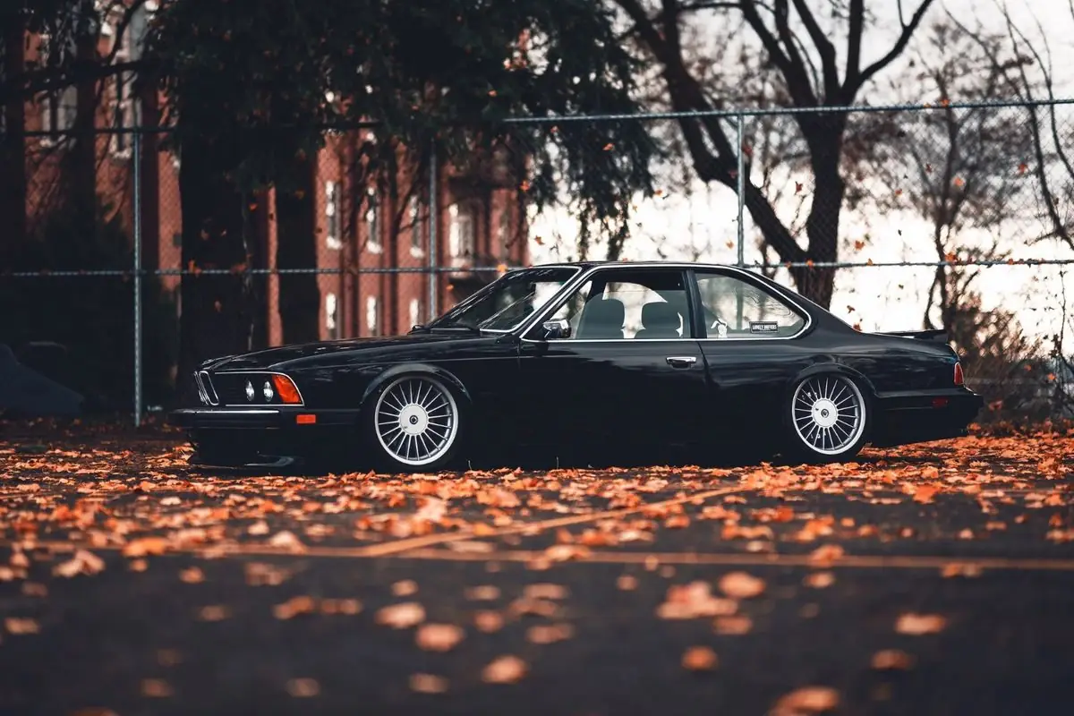 Svart BMW 6-serie E24 bland höstlöv